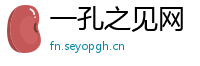 一孔之见网